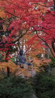 榮攝院（栄摂院）(京都府)