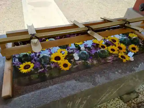 浅草神社の手水舎