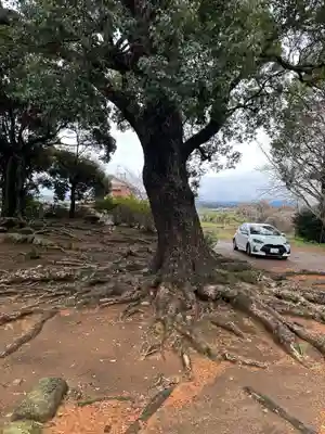 神代温泉神社(長崎県)