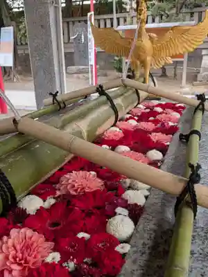 富岡八幡宮(東京都)