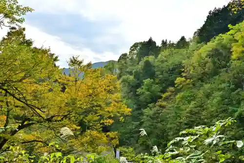 高龍神社(新潟県)