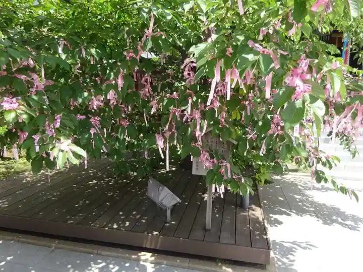 桜神宮の授与品その他