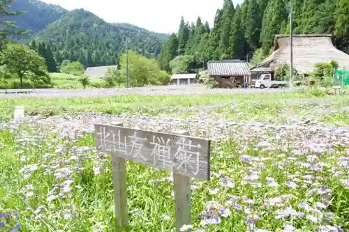 龍宝寺の庭園