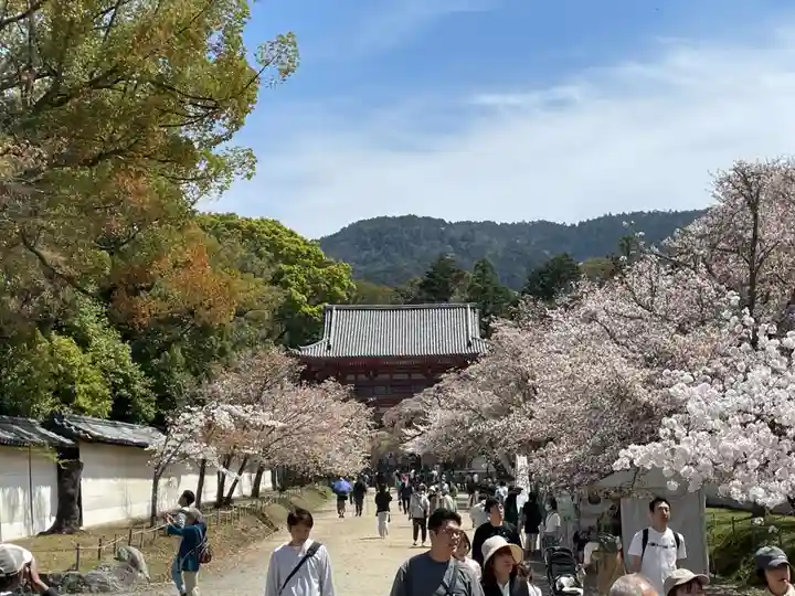 醍醐寺(京都府)