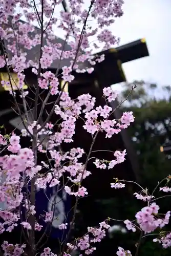 東京大神宮(東京都)