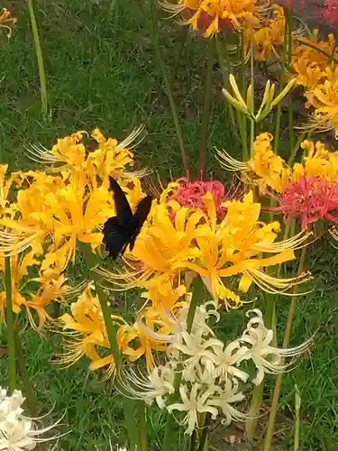横浜　西方寺(神奈川県)