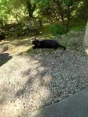 唐澤山神社(栃木県)