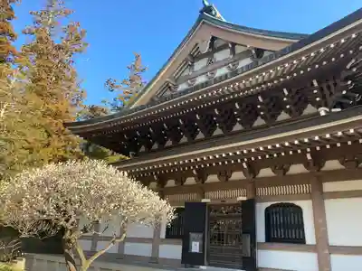 円覚寺(神奈川県)