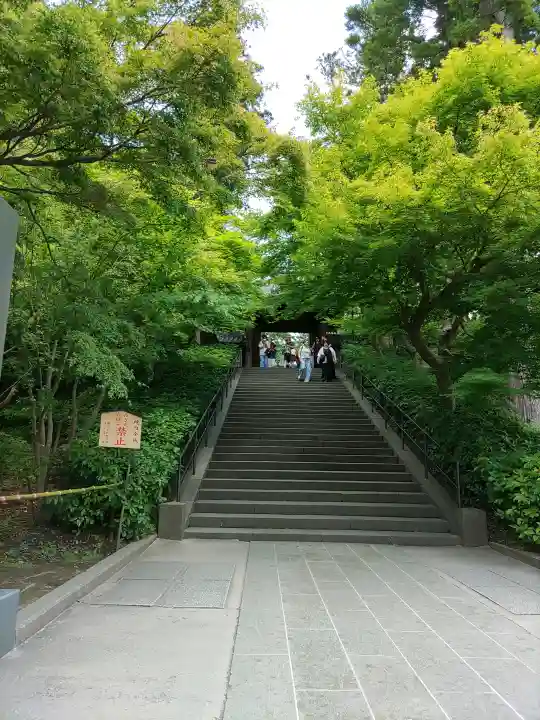 円覚寺(神奈川県)