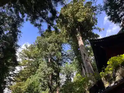 日光二荒山神社(栃木県)