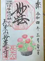 妙蓮寺の御朱印