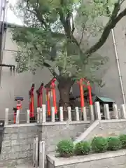 末廣大明神・白龍大神(大阪府)