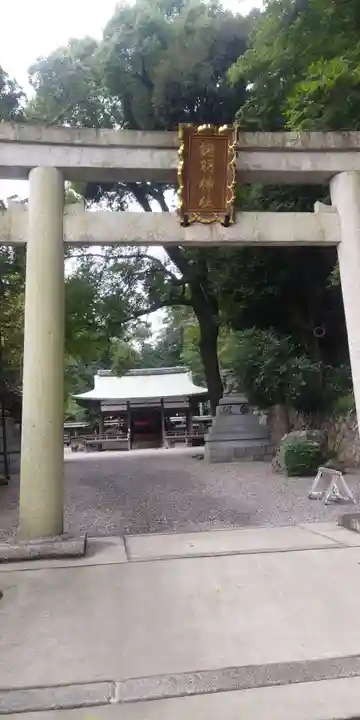 諸羽神社の鳥居