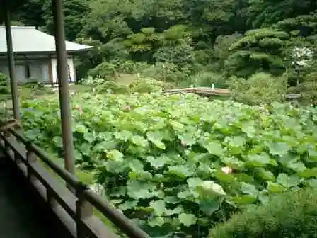 光明寺の庭園