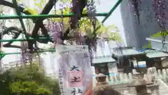 秋葉神社の建物その他