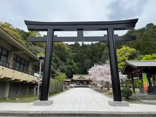 鹿児島縣護國神社の鳥居