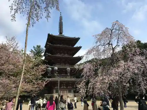 醍醐寺の塔