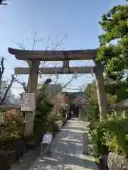 鳩森八幡神社の鳥居