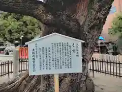 阿遅速雄神社の歴史