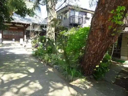 法徳寺の庭園