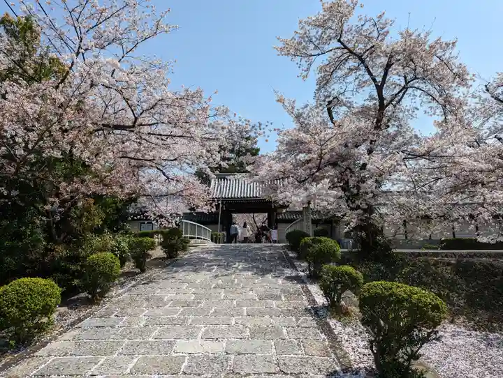 本願寺山科別院(京都府)