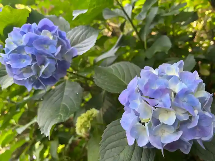 東大寺別院阿弥陀寺(山口県)