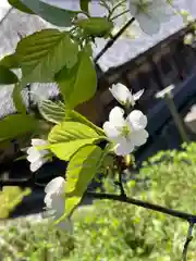 浄土寺の自然