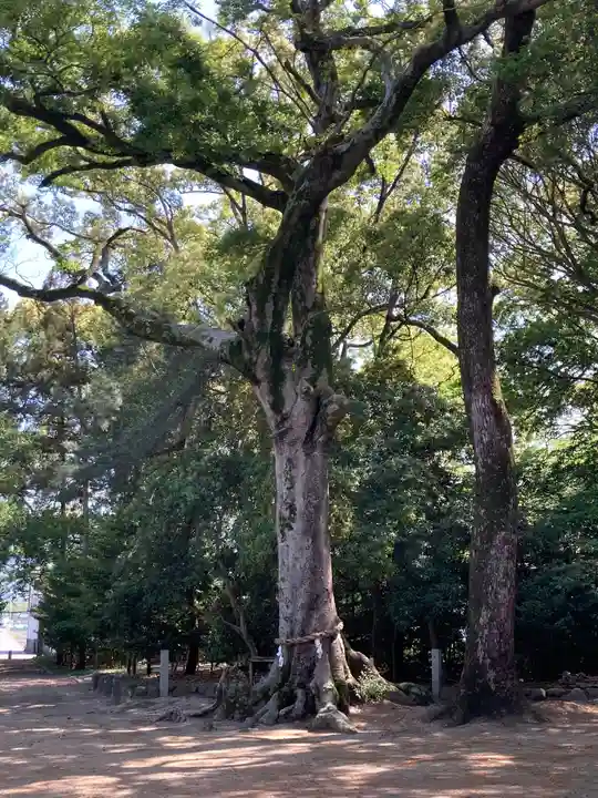 浮嶋神社の自然
