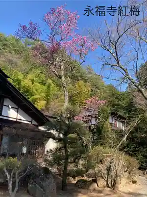 永福寺(長野県)