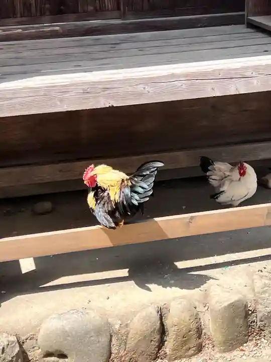 大崎八幡宮(宮城県)