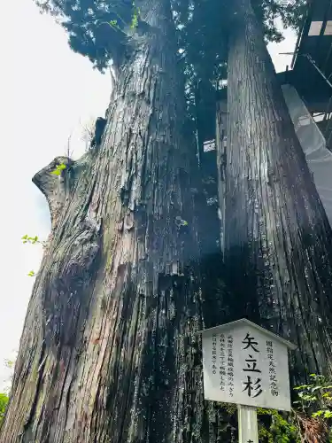 榛名神社(群馬県)