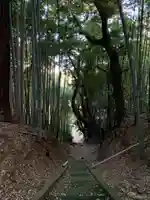 諏訪神社(千葉県)