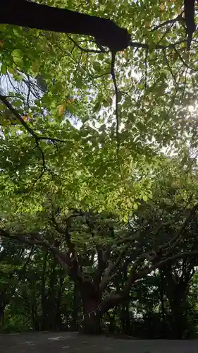 相馬神社(北海道)