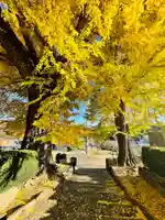 吉祥寺(宮城県)