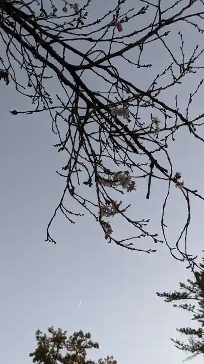 八事山 興正寺の自然