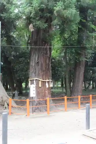 息栖神社(茨城県)