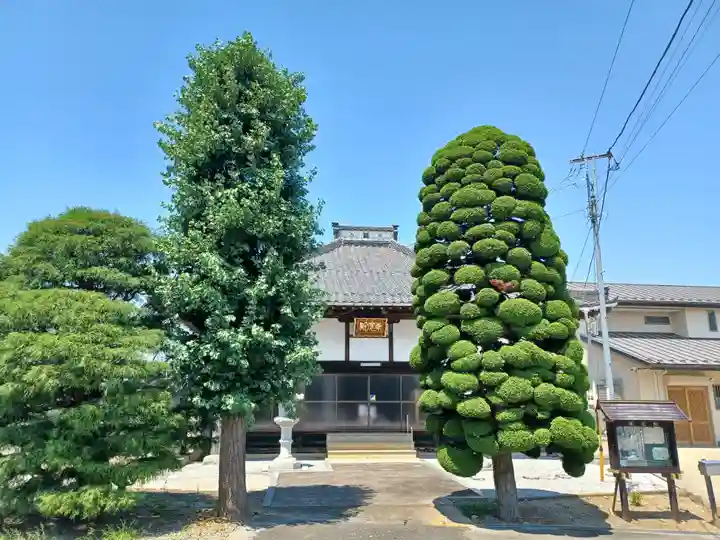 東光院(埼玉県)