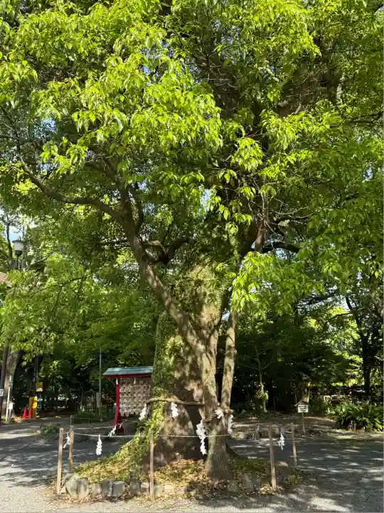 米之宮浅間神社(静岡県)