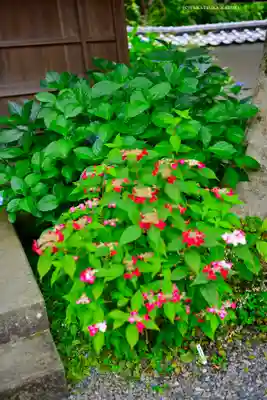 佛日庵(神奈川県)