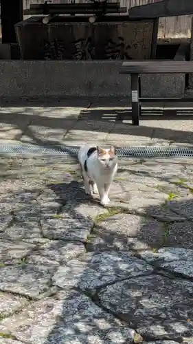 行願寺（革堂）(京都府)