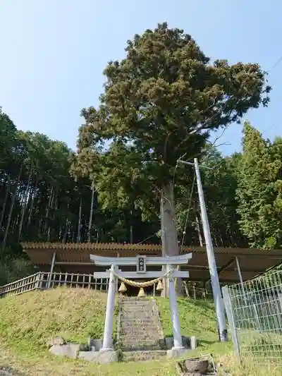 八幡社の鳥居