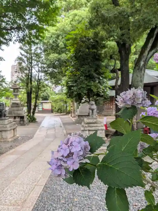 鳩森八幡神社(東京都)