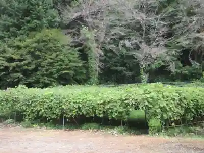 遍照寺(埼玉県)