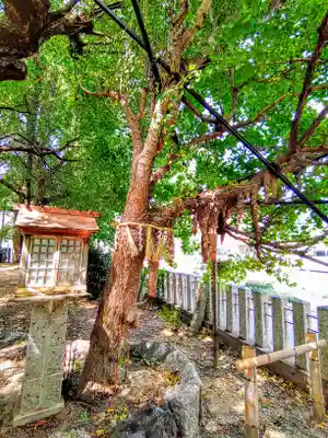 多奈波太神社の自然
