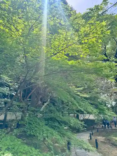 青蓮院門跡の{uncategorized: "未分類", other: "その他", undefined: "問題あり", building: "その他建物", grave: "お墓", sacred_gate: "鳥居", guardian: "狛犬", statue: "像", buddha: "仏像", history: "歴史", nature: "自然", garden: "庭園", animal: "動物", pagoda: "塔", temizu: "手水舎", mountain_gate: "山門・神門", sanctuary: "本殿・本堂", subordinate: "末社・摂社", art: "芸術", scenery: "景色", jizo: "地蔵", ema: "絵馬", goshuin: "御朱印", omikuji: "おみくじ", items: "授与品その他", amulet: "お守り", goshuincho: "御朱印帳", eats: "食事", festival: "お祭り", votive_dance: "神楽", shichigosan: "七五三参", wedding: "結婚式", experience: "体験その他", initially: "初詣", around: "周辺", anti_infection: "感染症対策"}