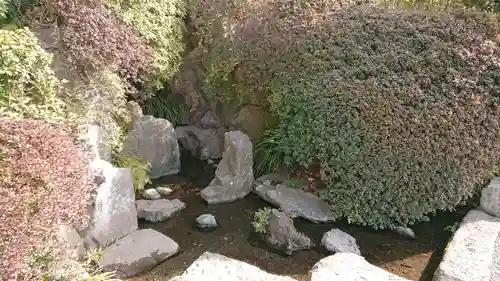 貫井神社の庭園