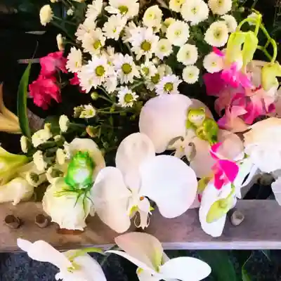 彌彦神社　(伊夜日子神社)の手水舎