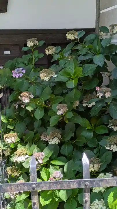 行願寺(革堂)(京都府)