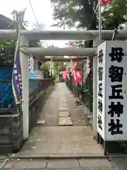 母智丘神社の鳥居