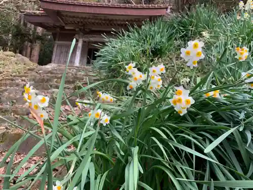 神明神社の自然